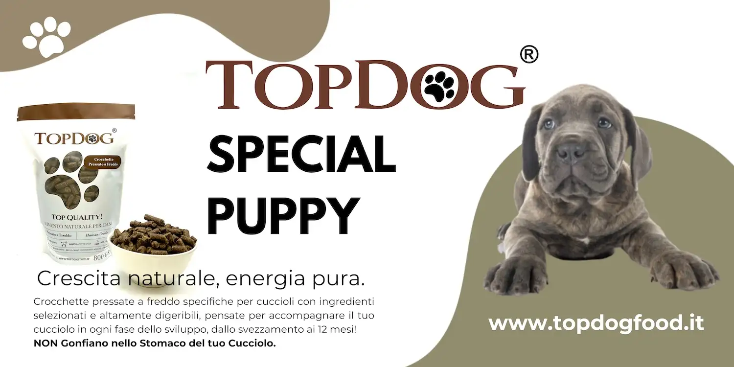 crocchette-pressate-freddo-puppy